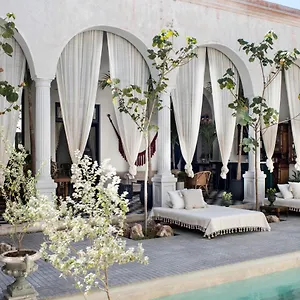  Hotel Casa Olivia Mexico